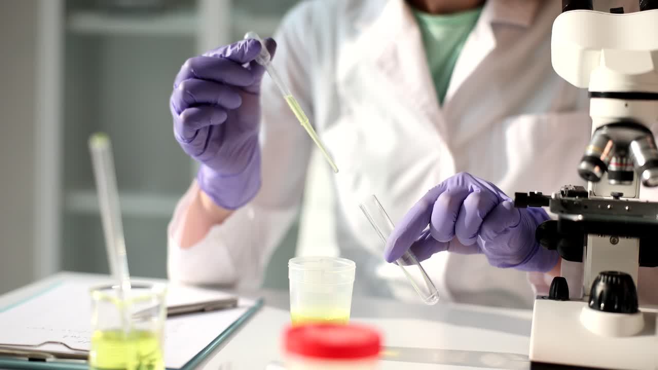 Laboratory worker takes urine with pipette pouring into tube