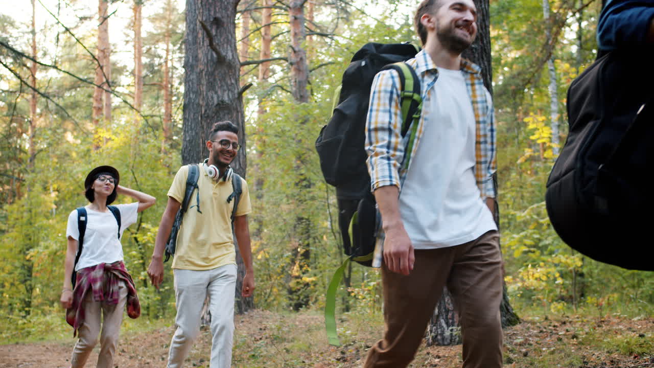 amigos haciendo senderismo en el bosque.