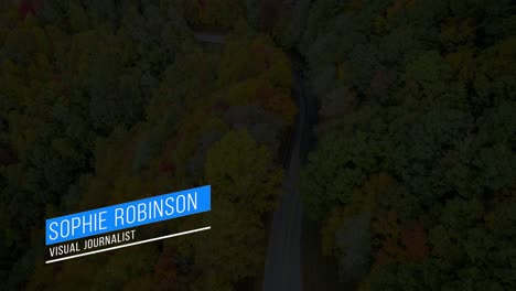 camino del bosque de otoño