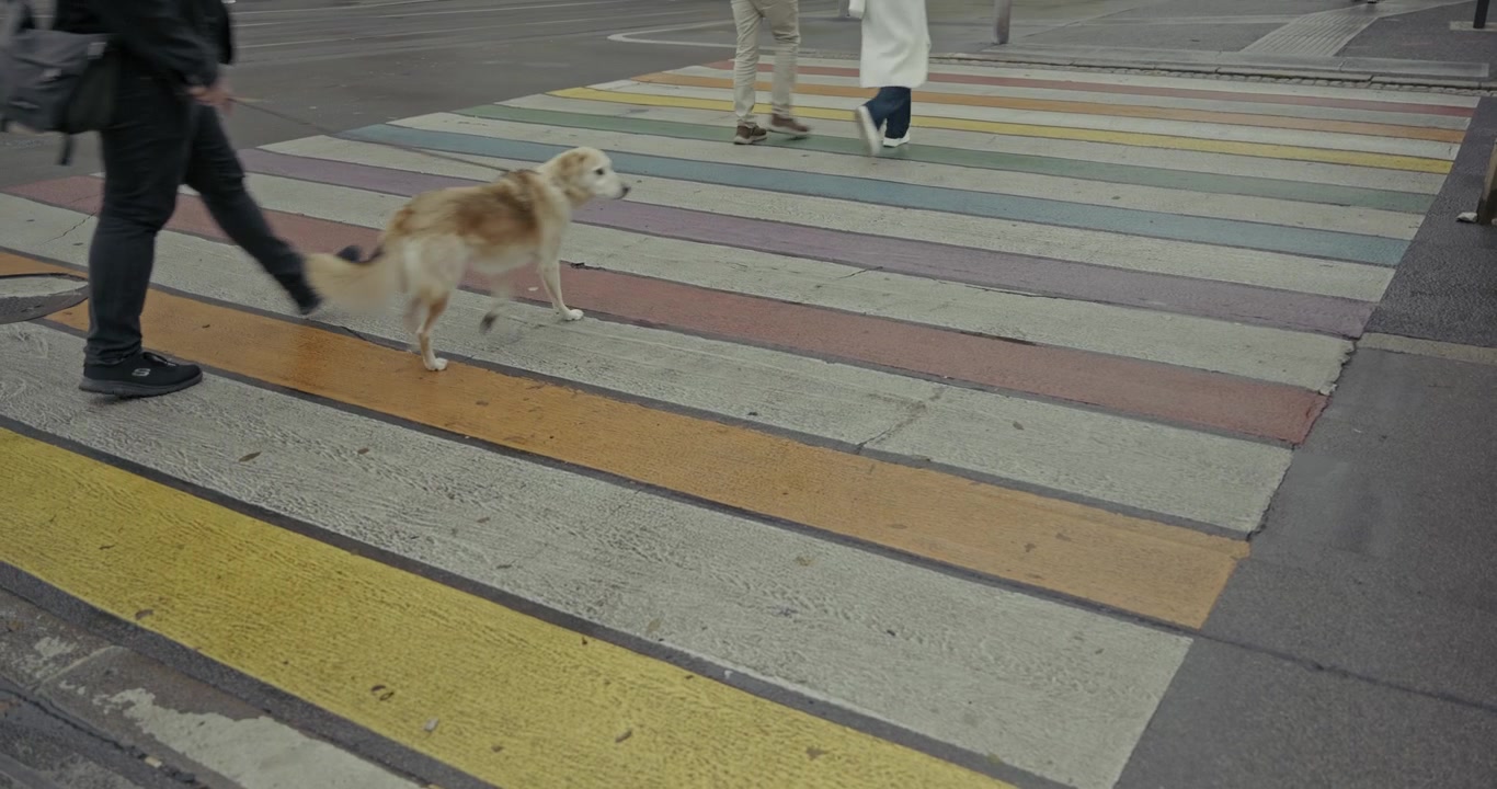Close up of a colorful striped pedestrian crossing in Graz, Austria, with a person walking across