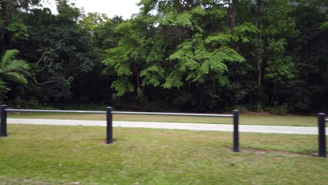 trees and a footpath with fencing side view