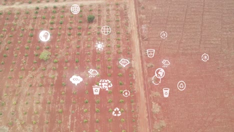 futuristic aerial drone view of the forest coverage