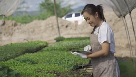 smart farm concept and farm technology a smart asian girl uses a tablet to check the quality and quantity of the organic vegetable garden at the garden houses.