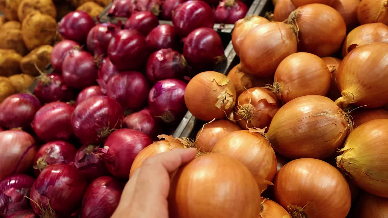 recogiendo cebollas a mano entre patatas y cebollas rojas
