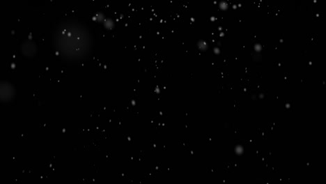 snow falling with alpha looped