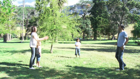 family playing in a park with a ball