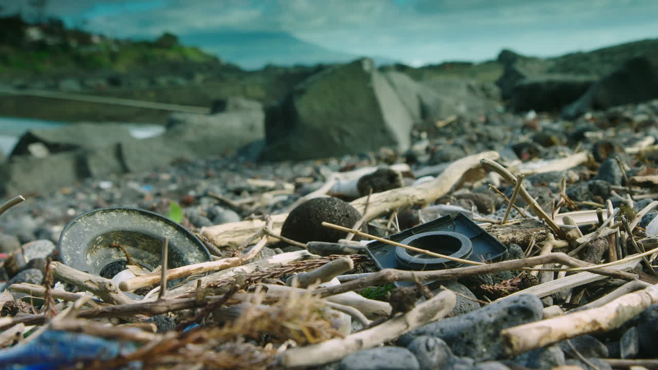 유목 사이 해변에 씻겨진 플라스틱 거짓말