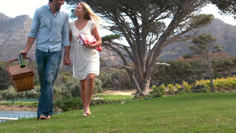 happy couple walking with picnic basket in slow motion