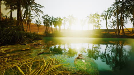 escena colorida con una palmera sobre un pequeño estanque en un oasis del desierto