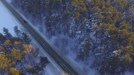 snowy road through a forest