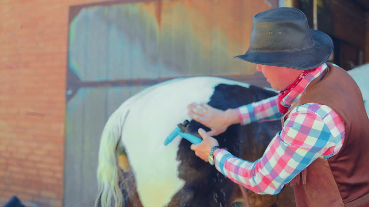 hombre lava un caballo con agua de una manguera