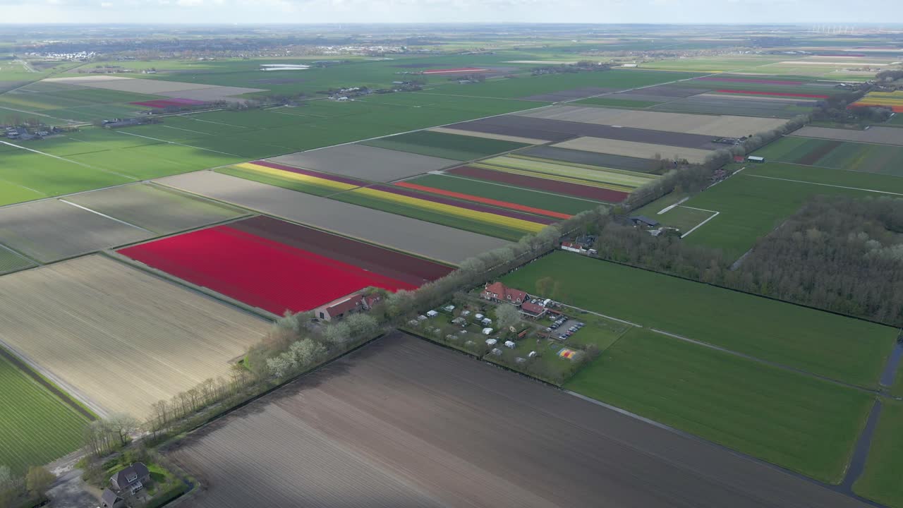 Campi di tulipani colorati con un campeggio visti dall'alto, Paesi Bassi