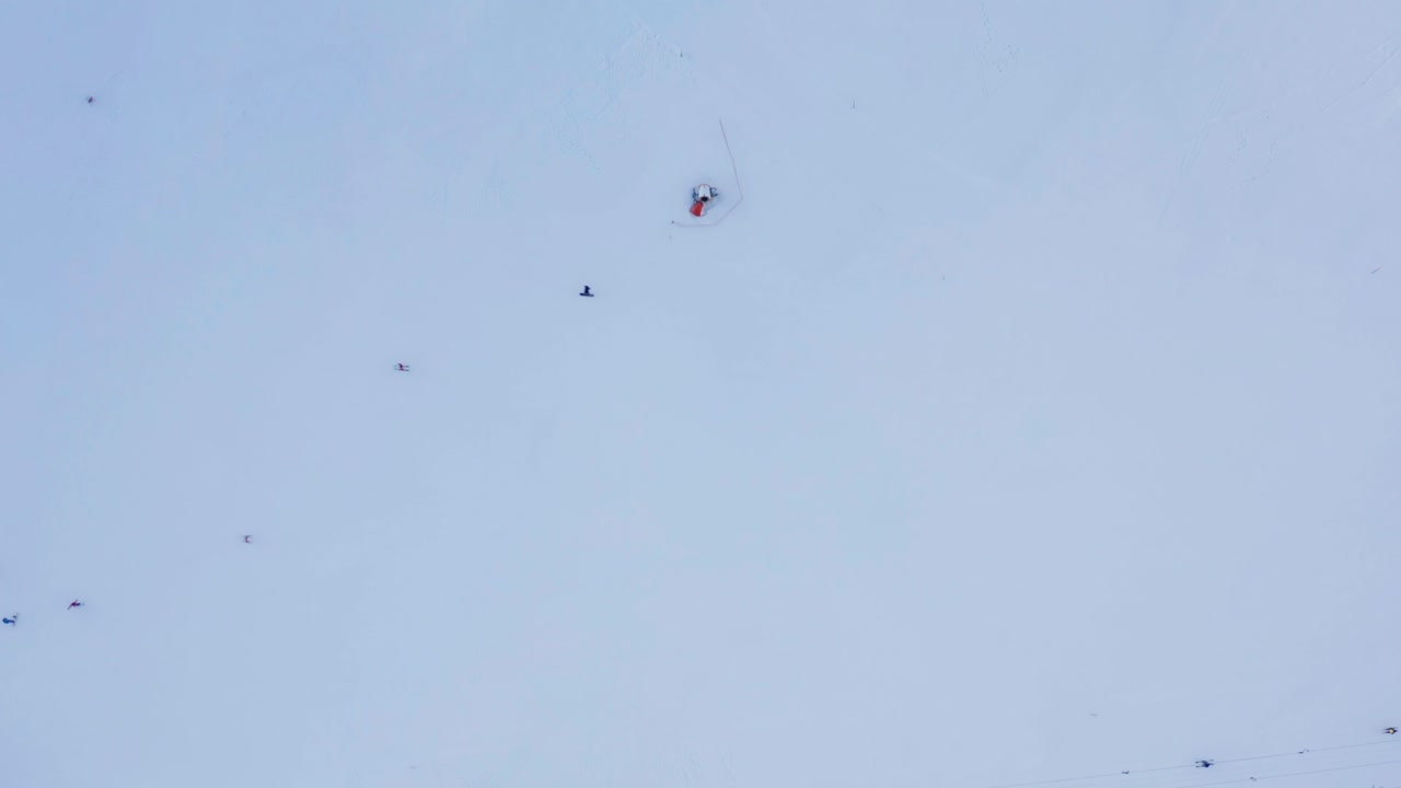 사람들이 산에서 스키를 타는 하향식 공중 눈 덮인 슬로프