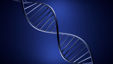 dna 이중 나선형의 3d 모델