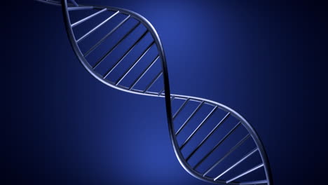 3d model of dna double helix