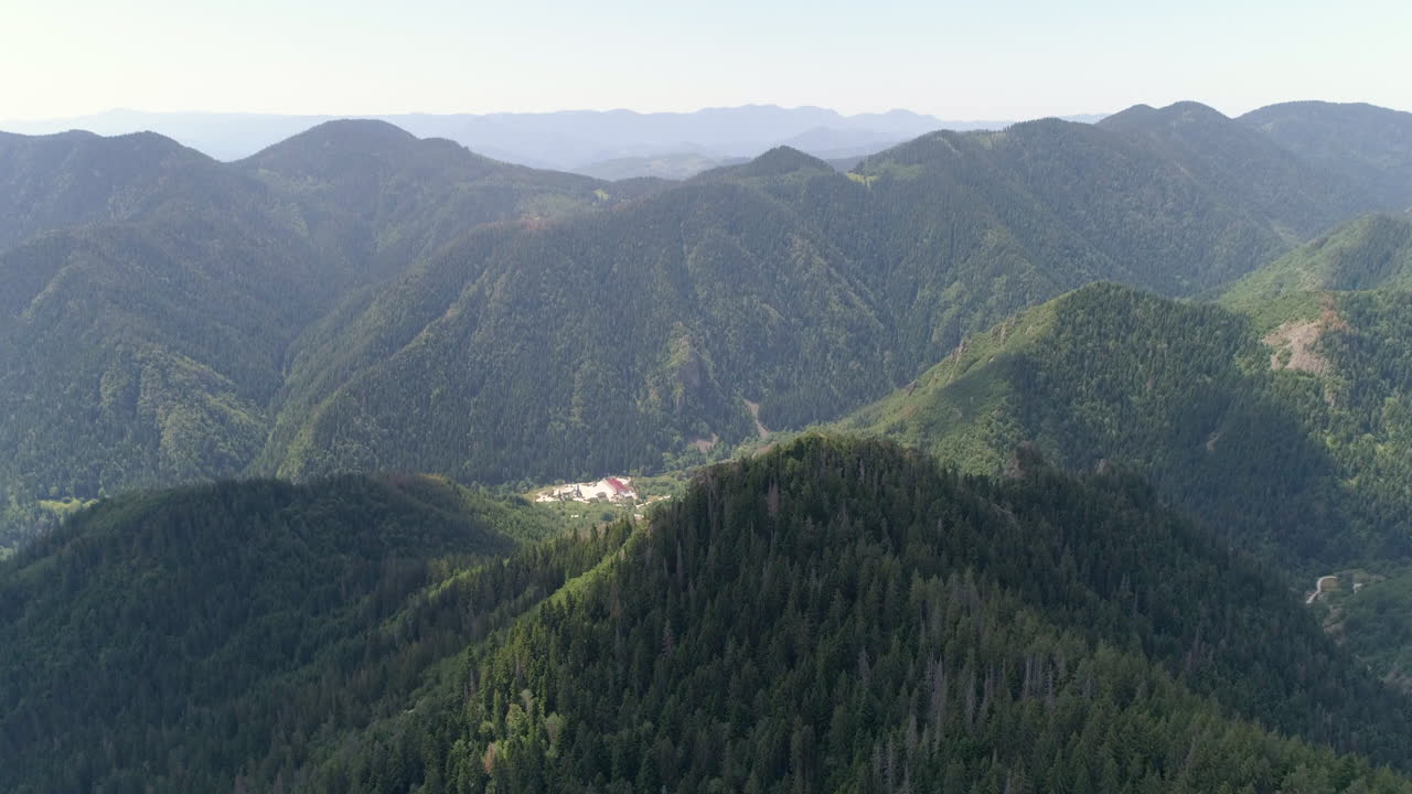 vista aérea de un paisaje forestal montañoso