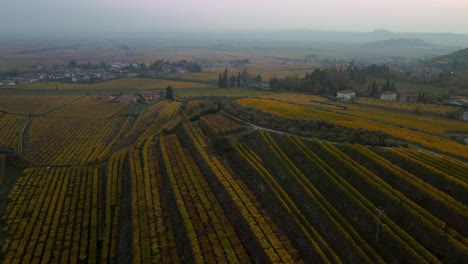 aerial drone flying above scenic yellow and green vineyard fields on hills in valpolicella, verona, italy in autumn after grape harvest for ripasso wine by sunset surrounded by traditional farms in 4k