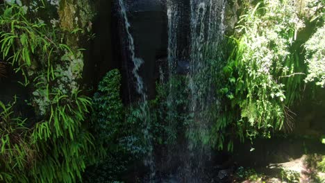mirando hacia abajo sobre las cataratas curtis, mt tamborine, rain forest creek, día de verano queensland australia