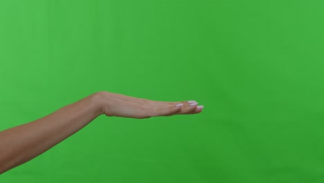 gestos con las manos en pantalla verde