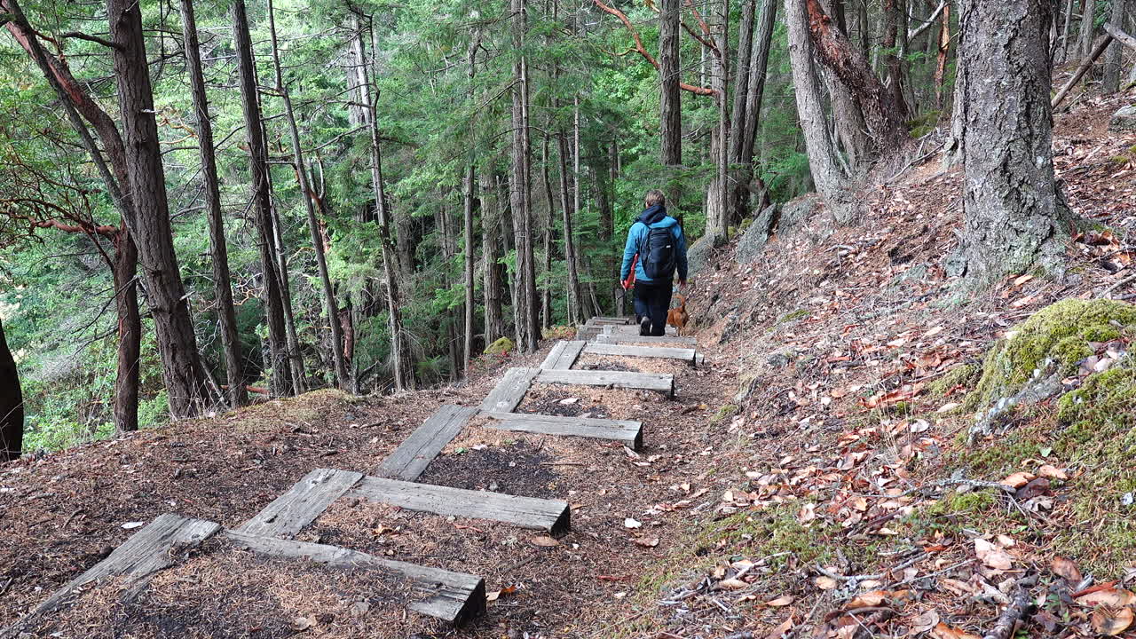 Couple hiking down stairs with a dog in the wooded forest of the San Juan Island