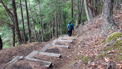 couple hiking down stairs with a dog in the wooded forest of the san juan island