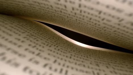 위쪽과 아래쪽 페이지가 있는 책 내부에서 시작하여 끝이 열리고 아래쪽 페이지를 스포트라이트로 비추는 백라이트가 표시되면서 책 안쪽으로 깊숙이 들어갑니다.