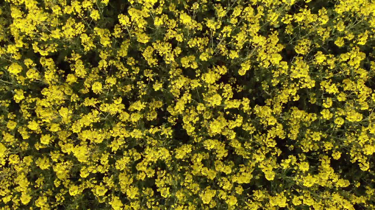 4k 30fps로 만든 드론으로 독일 뮌헨의 페링가제 호수