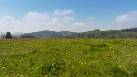 Drone-shot-with-blue-sky-landscape-and-green-and-agricultural-meadows-on-the-foothills-of-the-Chartreuse-massif,-Isère,-Velanne-in-Auvergne-Rhône-Alpes---France