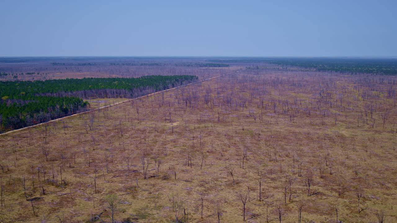 높은 곳에서 날아다니는 드론에 의해 촬영된 광활한 석탄화 된 풍경입니다.