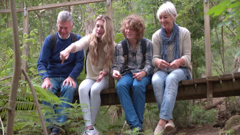 grandparents and grandchildren sitting on bridge in a forest