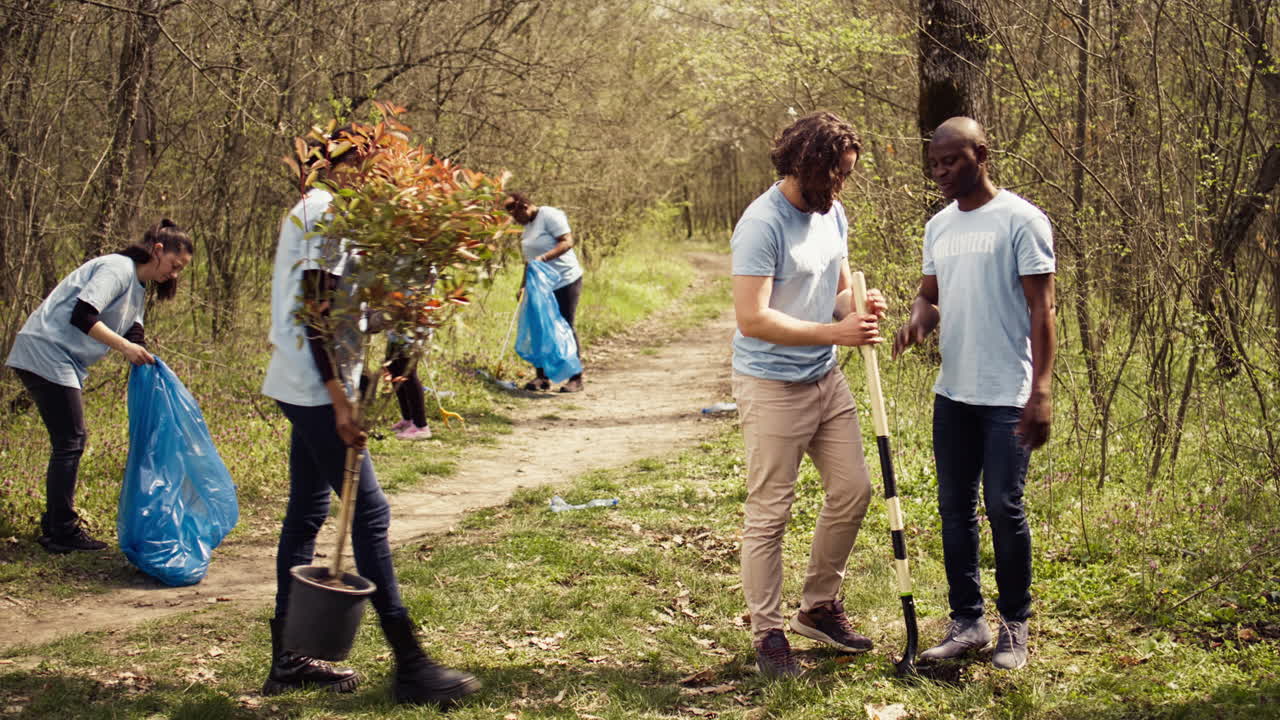 equipo de activistas del cambio climático plantando árboles verdes y semillas en un bosque