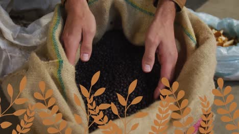 animation of plants over hands of caucasian man and coffee in bag