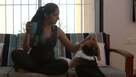 beagle asking for a walk to indian woman sitting on a sofa