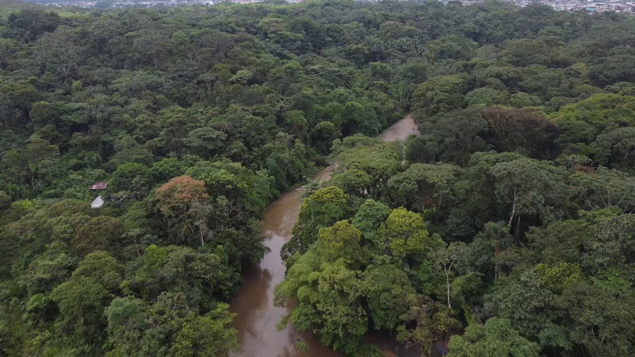 vista aérea de un río con color de agua nublada en la selva tropical amazónica, 4k