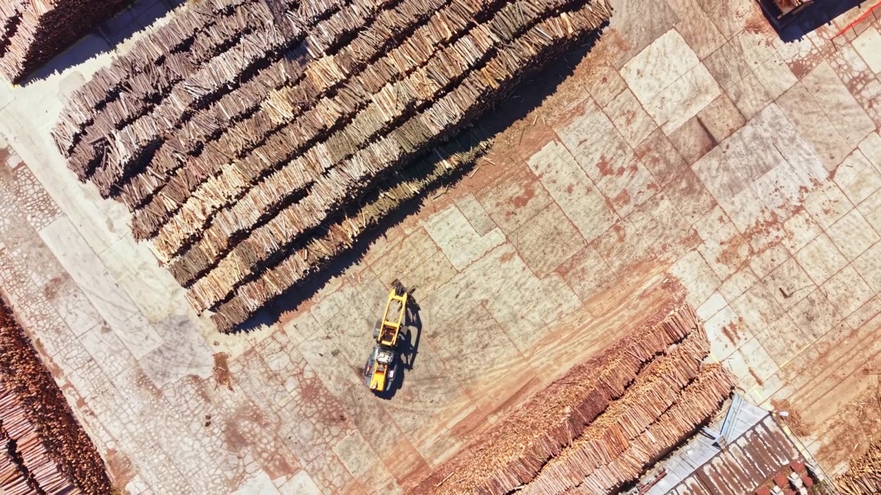 Wood processing area with stacked timber and machinery in operation during daylight hours