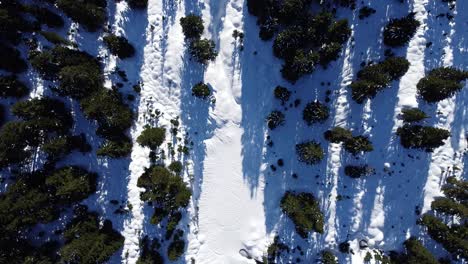 Excursionistas-De-Invierno-En-La-Cima-De-La-Montaña-Desde-Arriba