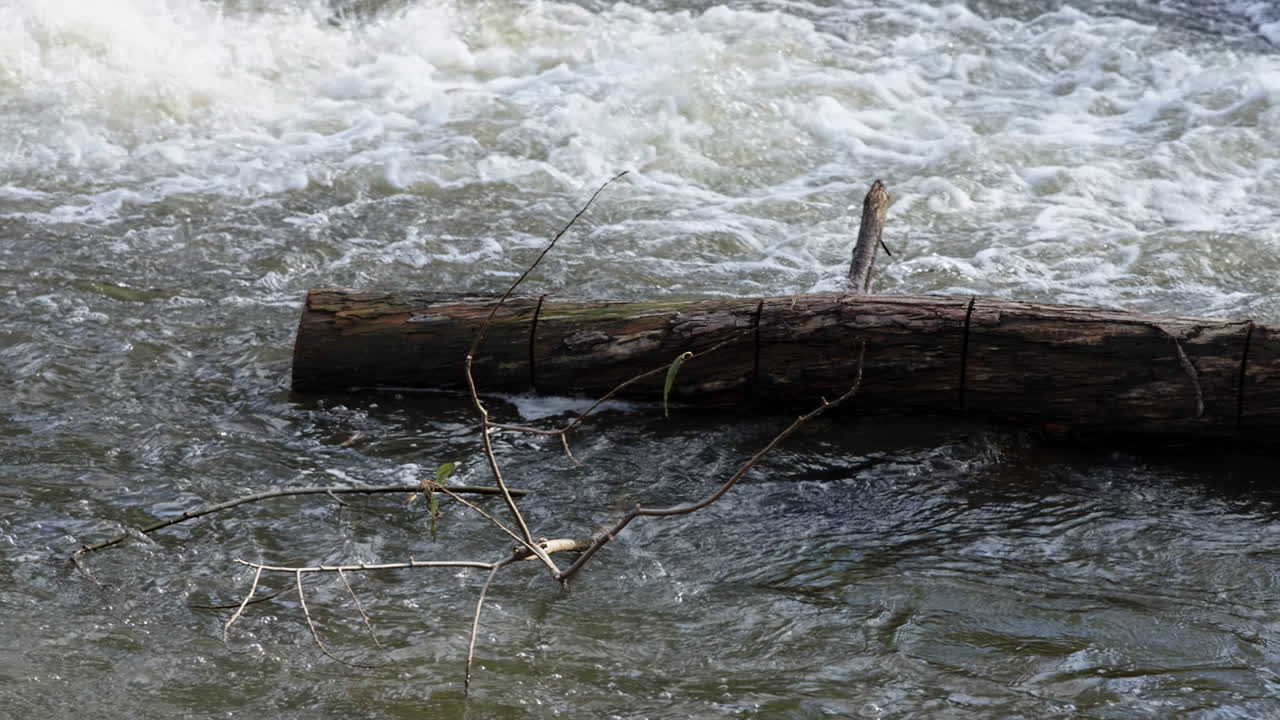 강물 - 클로즈업 뷰 5