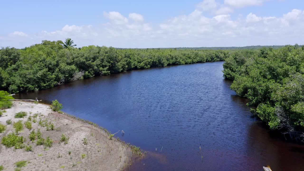 importante punto crítico de biodiversidad del bosque de manglar en san pedro de macoris
