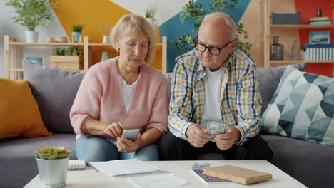 senior couple managing finances at home