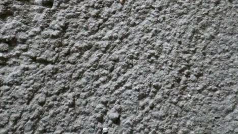 stop motion animated concrete texture background or useful for old films effects using opacity tool or luma matte
