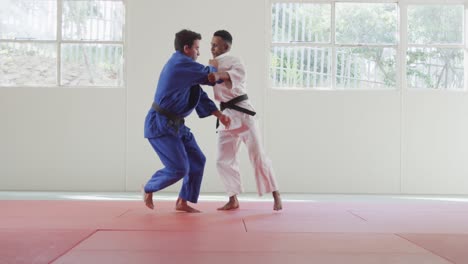 judokas training by doing a randori on the judo mat