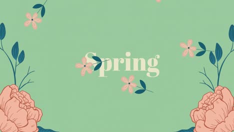 animation of spring text over pink flowers falling and floral decoration on green background