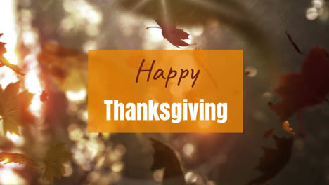 happy thanksgiving and leaves falling