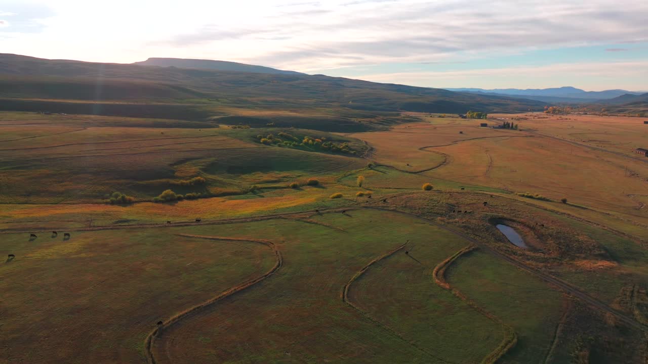 Gunnison National Forest Crested Butte Ohio Pass Swampy Pass Kebler Pass fall autumn Colorado aerial drone Elk Range Rocky Mountains Beaver Ponds morning bluesky sunny yellow Aspens trees circle
