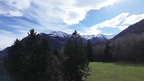 Aerial-view-of-drone-rise-up-in-blue-sky-above-pine-forest-with-snowy-mountains-in-background-on-a-beautiful-sunny-day-in-Austria