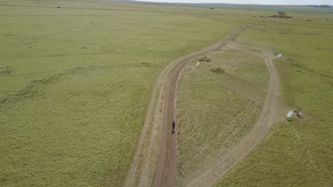 persona caminando por un camino de tierra en un campo de hierba