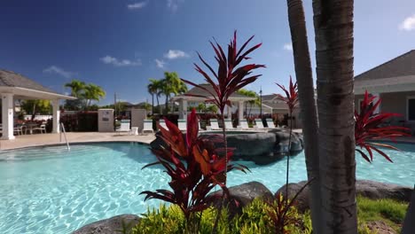 Slow-track-around-palm-trees-and-swimming-pool