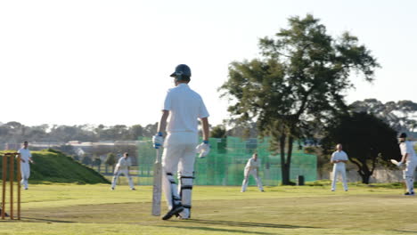 two teams of multiracial male cricket players and male umpire playing cricket on pitch