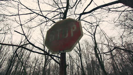 old, rusty stop sign in the middle of a forest of bare trees