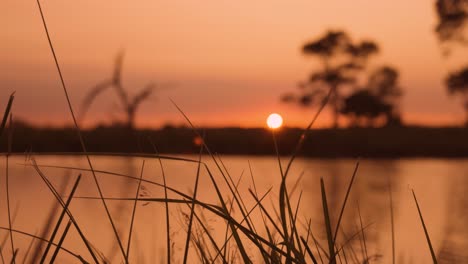 sunset over the river
